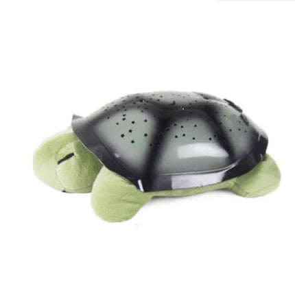 Collection image for: Tortuga Luz Nocturna