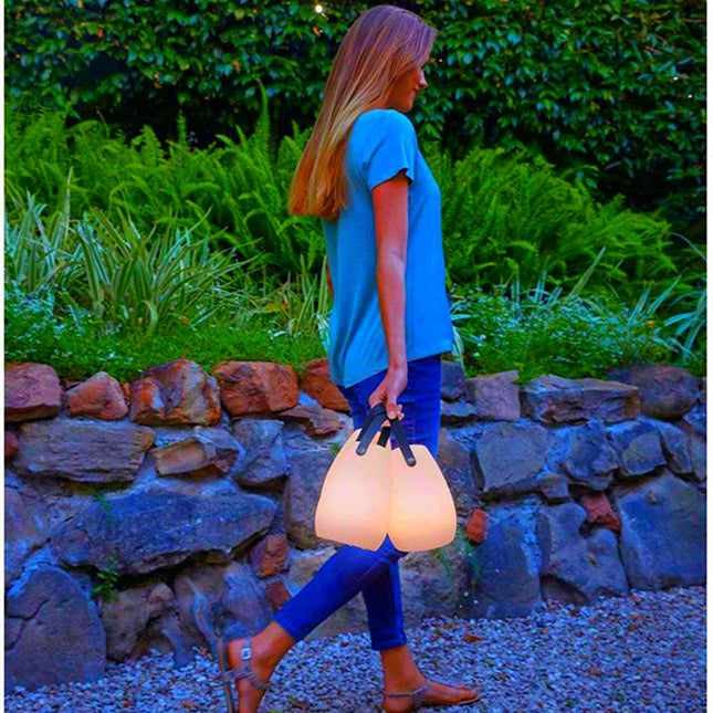 Lámpara LED portátil recargable tipo farol